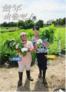 周榜第五名作品封面